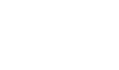la salve logo